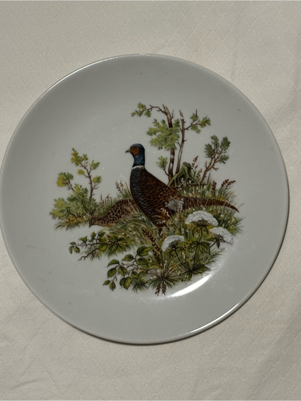 Vintage Porcelain plate